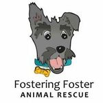 Fostering Foster Animal Rescue