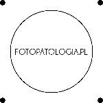 Fotopatologia