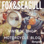 Fox & Seagull - Barry Collins