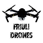 Friuli drones