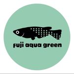 Fuji Aqua Green