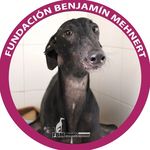 Fundación Benjamín Mehnert