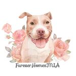 Promoting So FL/RDU Adoptions