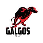 Galgos LFA