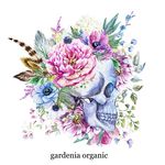 Gardenia Organic