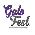 GatoFest