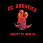 GC AQUATICS