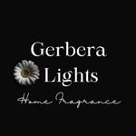 Gerbera Lights