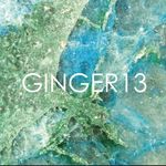 GINGER13