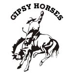 Gipsy Horses Ranch