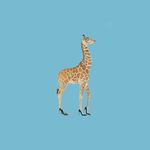 Giraffe On Heels