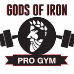 Gods Of Iron Pro Gym 🇺🇸™️