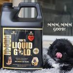 Gold Club Canine Group