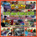 GOLDY Petshop and Petcare