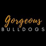 GORGEOUS BULLDOGS LLC