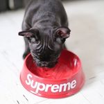 ☄️SUPREME FRENCHIES