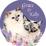 🌷🐾 Grace und Kelly ⍣
