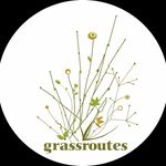 Grassroutes Journeys