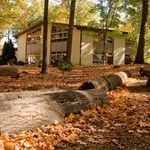 Green Meadow Waldorf School