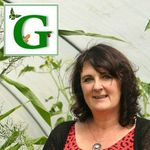 Dee Sewell | greensideup.ie