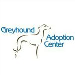 Greyhound Adoption Center