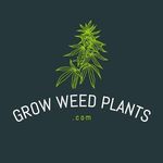 Grow Weed Plants