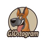 German Shepherd Dog (GSD)