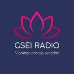 GSEI Radio