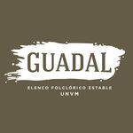 guadal.oficial