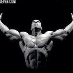 Bodybuilding Nation