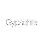 Gypsohila