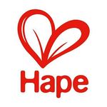 Hape toys ● MENA