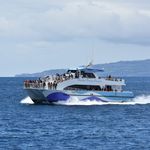 Harbor Breeze Cruises