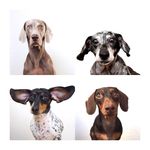 Harlow•Indiana•Reese•Ezra•Mae Harlow•Indiana•Reese•Ezra•Mae