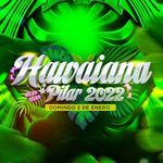 Hawaiana Pilar - Oficial