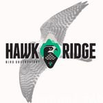 Hawk Ridge Bird Observatory