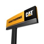 Hawthorne Cat