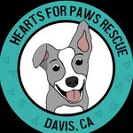 Hearts For Paws