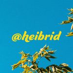 Heibrid