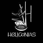 HELICONIAS Café y Cacao