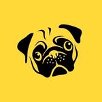 HelloDog | Dog Shop