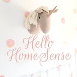 HelloHomeSense