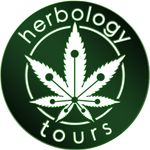 Herbology Cannabis Tours