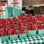 Hillsdale Farmers Market