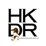 Hong Kong Dog Rescue