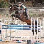 HLH Equestrian