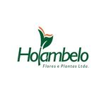 Holambelo Flores e Plantas