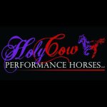 Holy Cow Performance Horses