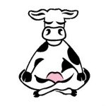 Holy Cow Yoga Center