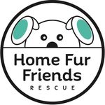 Home Fur Friends Rescue Inc.